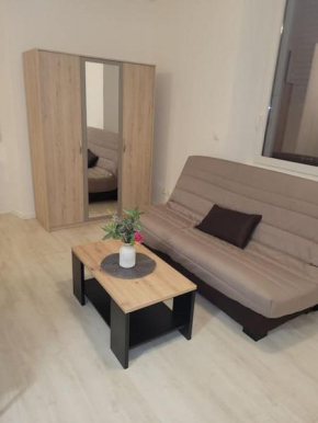 Studio proche centre-ville